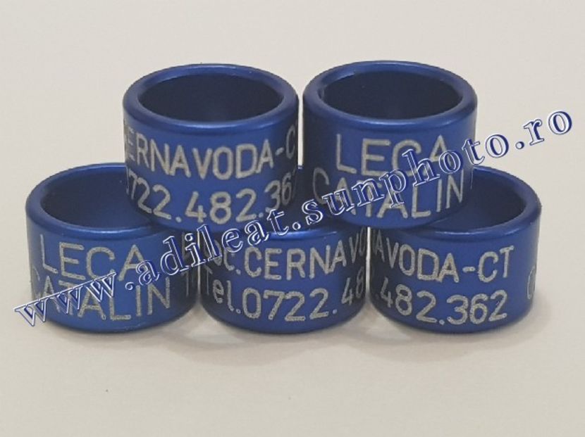 TextArt_190115213101 - 1-A-INELE PERSONALIZATE 2019