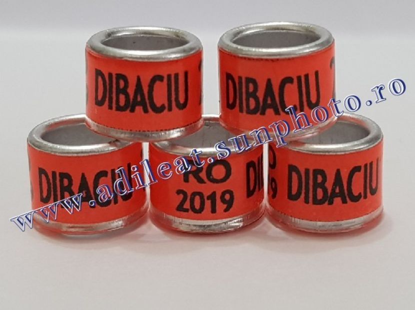 TextArt_190115213245 - 1-A-INELE PERSONALIZATE 2019