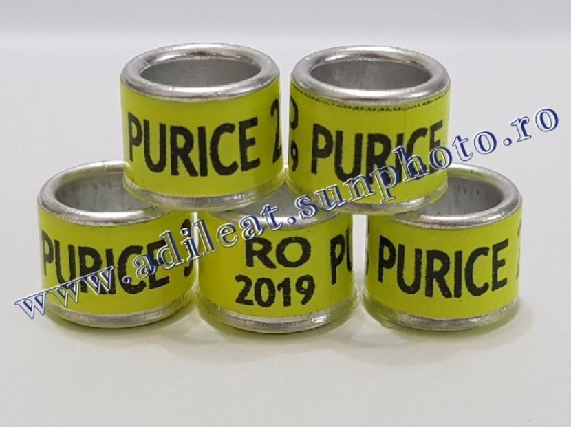 TextArt_190115213257 - 1-A-INELE PERSONALIZATE 2019