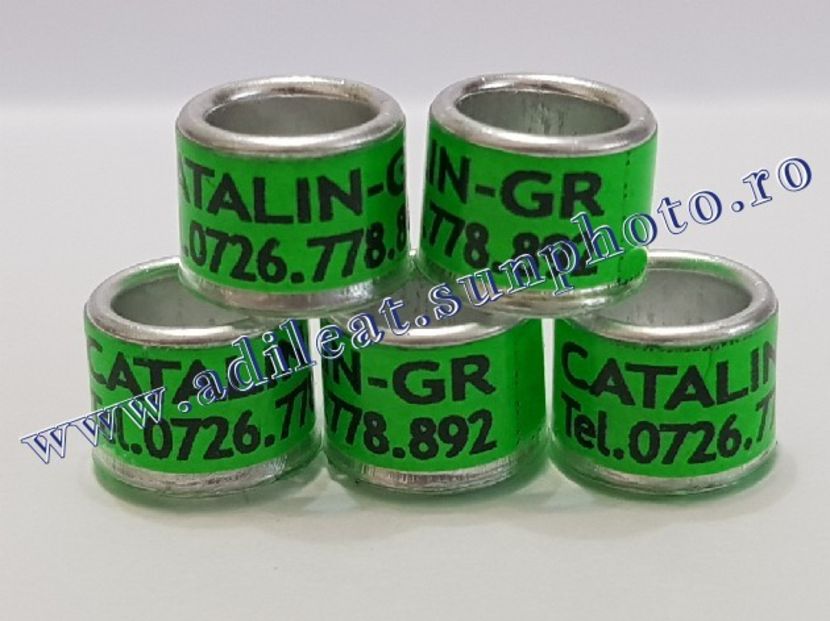 TextArt_190115213309 - 1-A-INELE PERSONALIZATE 2019