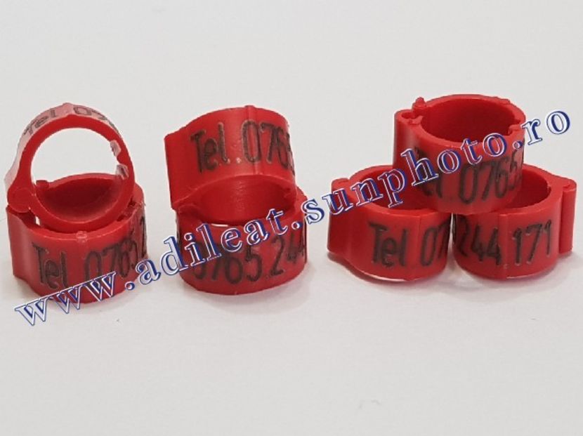 TextArt_190115213006 - 1-A-INELE PERSONALIZATE 2019