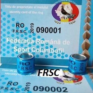 IN - INELE PORUMBEI 2019 FCI-FRSC-SI Amatori