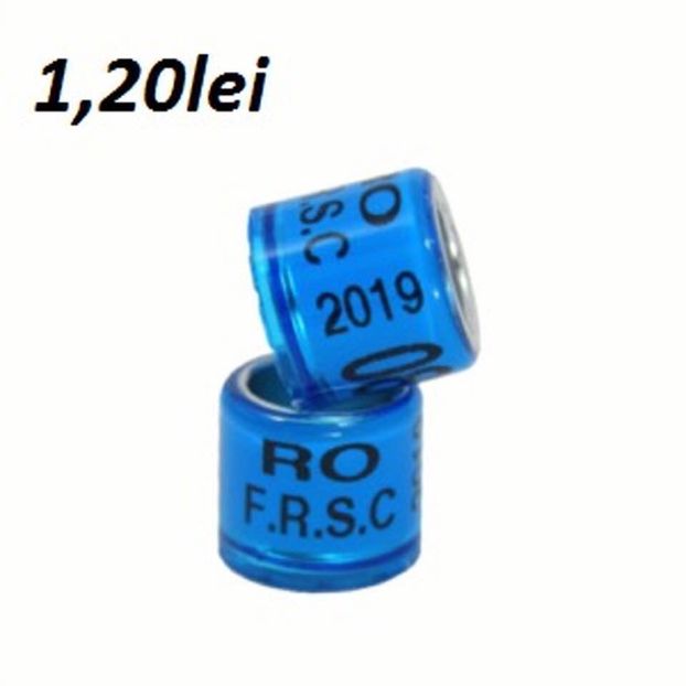 49900431_230259177851637_1741641137250107392_n (1) - INELE PORUMBEI 2019 FCI-FRSC-SI Amatori