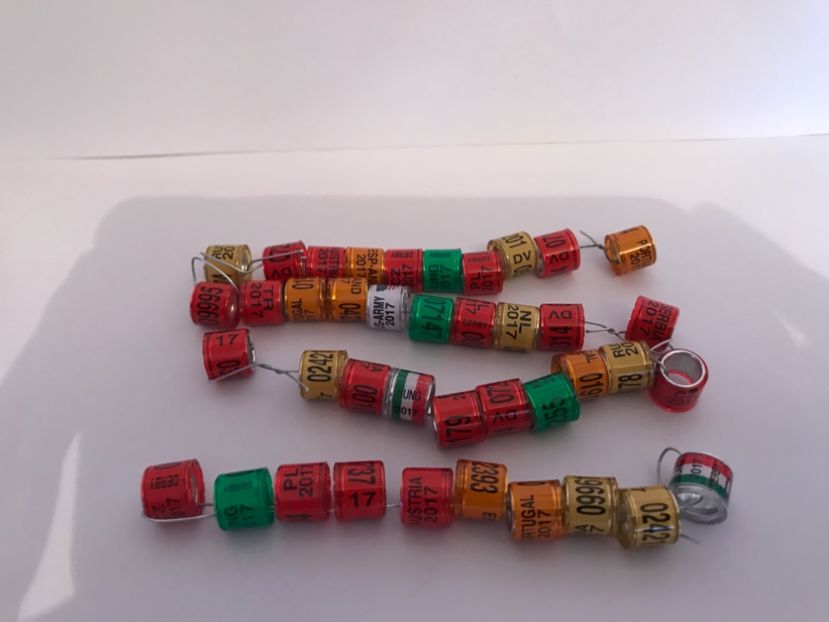  - 00000 2019 ianuarie inele colectie tari Straine