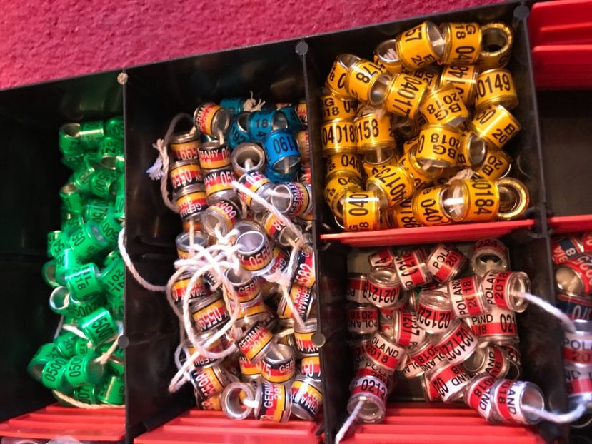  - 00000 2019 ianuarie inele colectie tari Straine