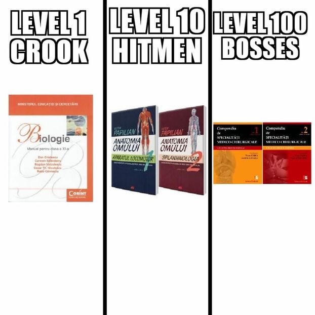 5CB69036-15ED-4DF0-8FD3-A614B5738590 - v sacral plexus