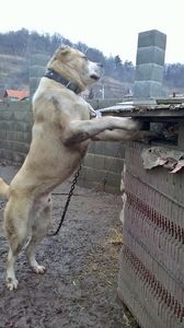 IMG-20190116-WA0000 - -Monta 8 ianuarie 2019