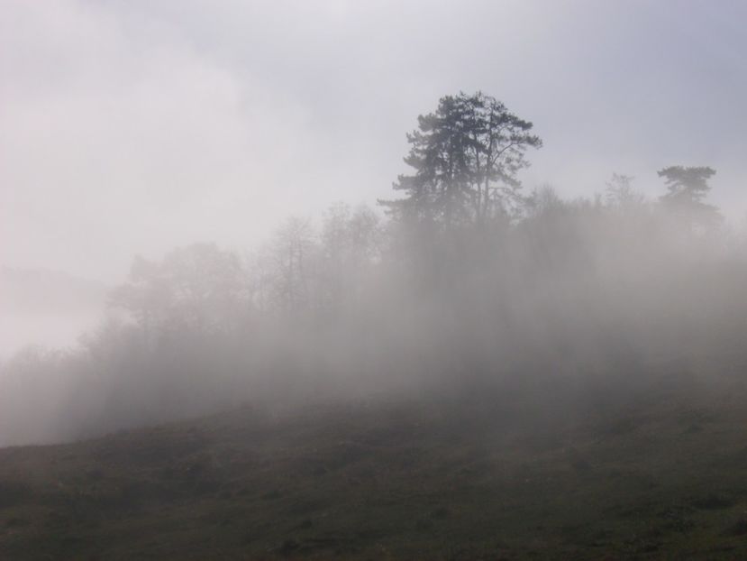 PICT0008 - 04 Toamna