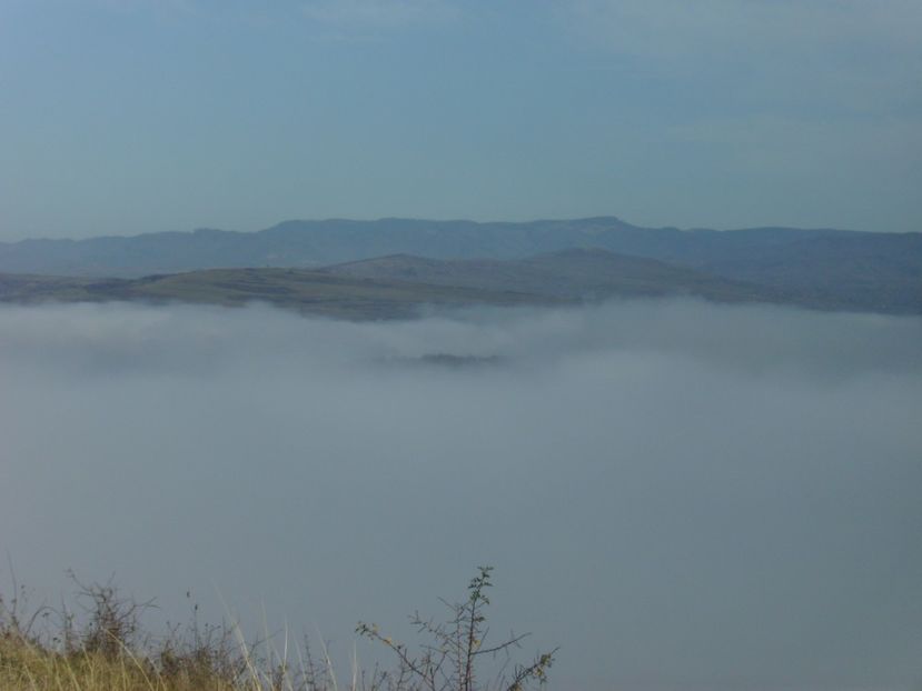 PICT0015 - 04 Toamna