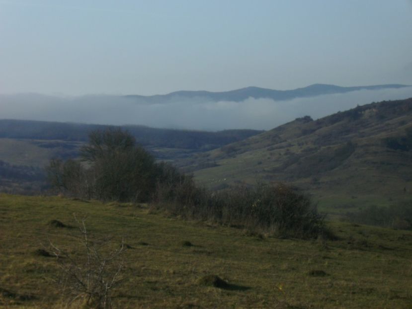 PICT0017 - 04 Toamna