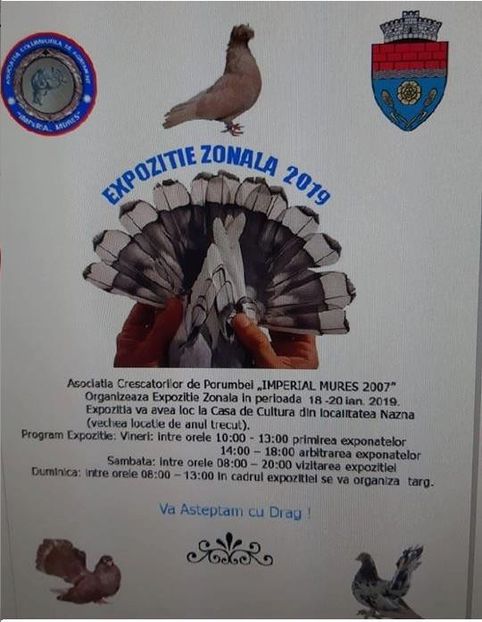  - T--TARGURI SI EXPOZITII