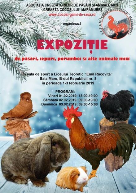  - T--TARGURI SI EXPOZITII
