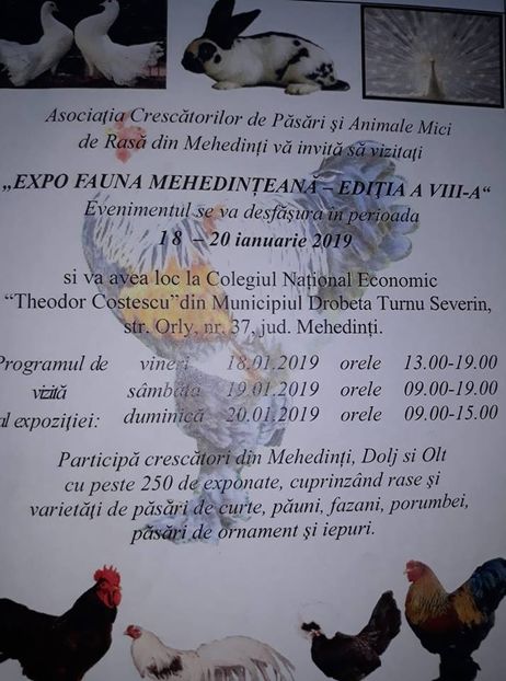  - T--TARGURI SI EXPOZITII