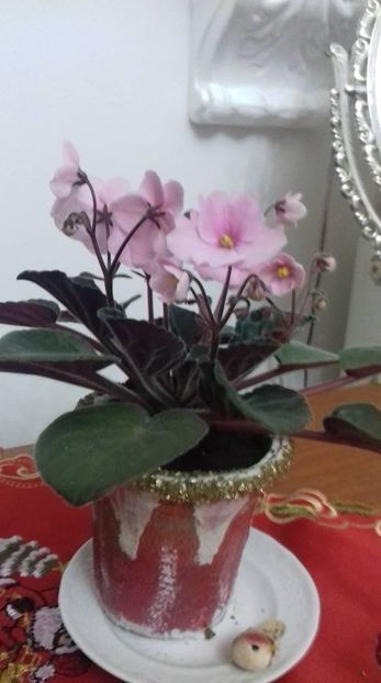  - 000 A ALE MELE VIOLETE