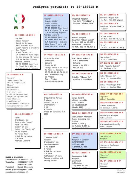 IT-18-439615-ped - IT-18-439615