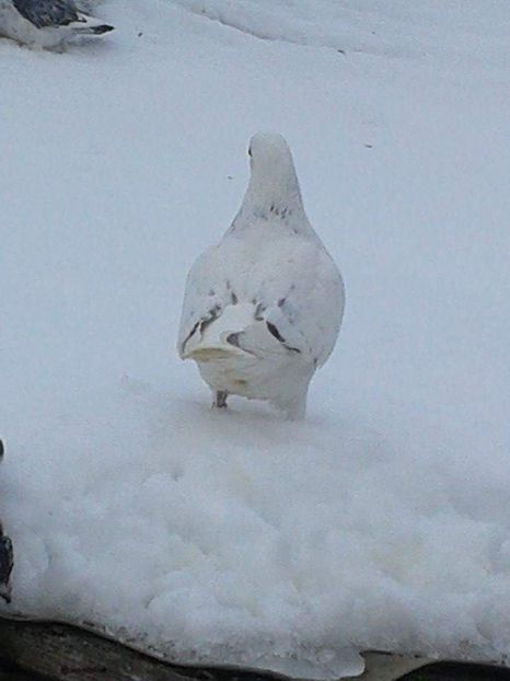 received_228097968080209 - Ianuarie 2019