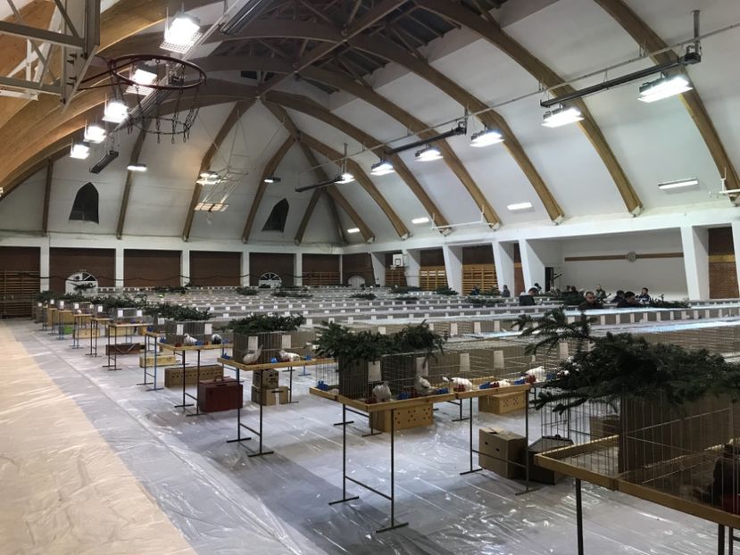 E1A88D21-A790-49A5-8D4D-9DF7571DF4E9 - Expozitie Kondoros 2019