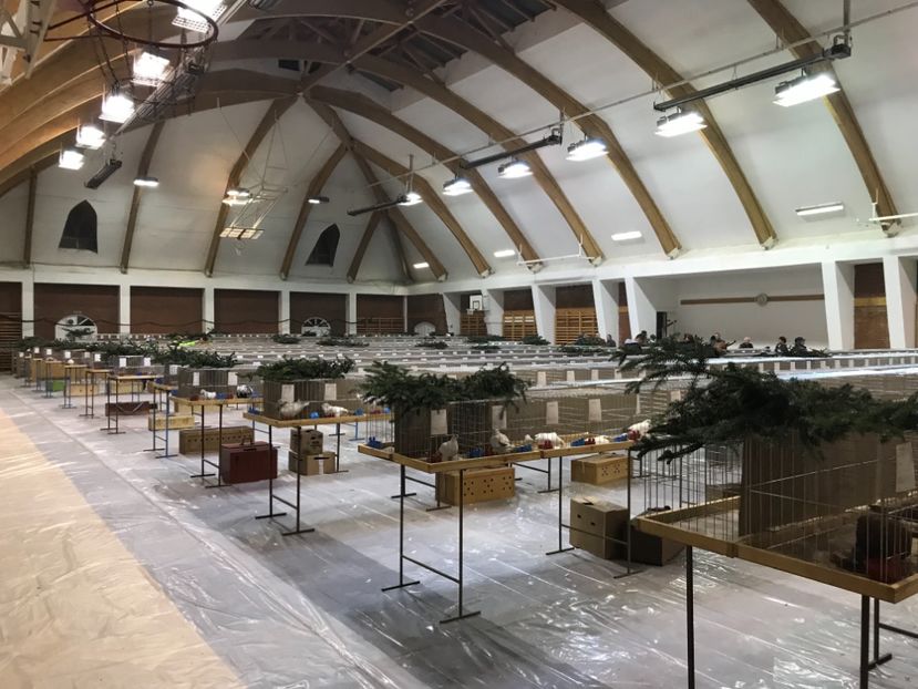 78C794E9-4687-48DA-8065-5B1E259E5323 - Expozitie Kondoros 2019