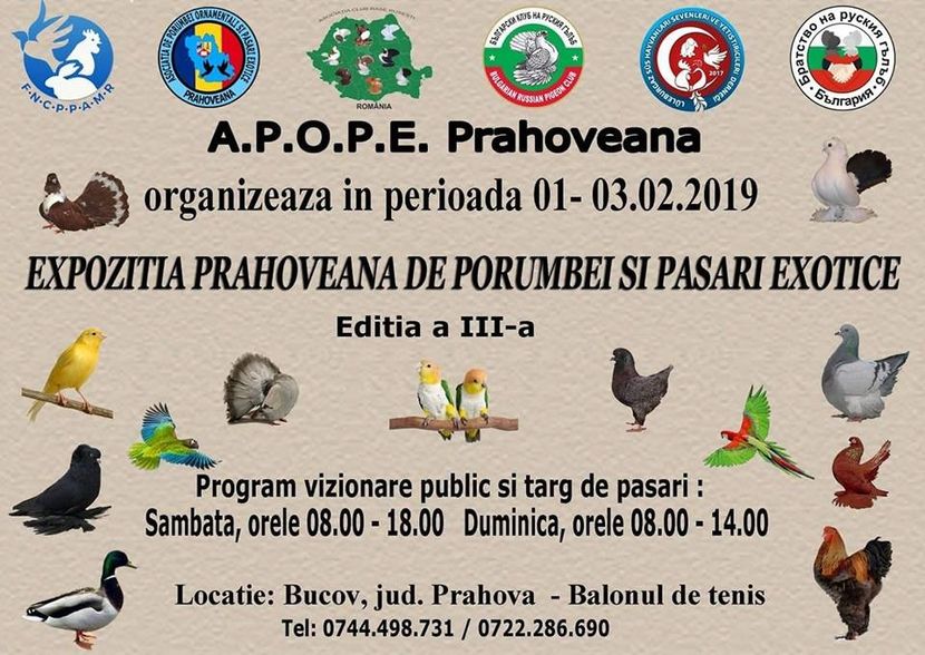  - F-Expozitie APOPE PRAHOVEANA editia III - februarie 2019