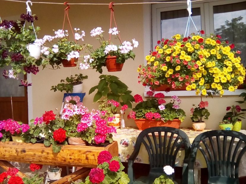  - Frumuseti la casa parinteasca