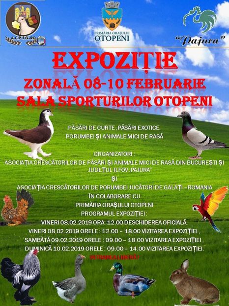 Afișul expoziției - Z 15 - Expo Pajura 2019