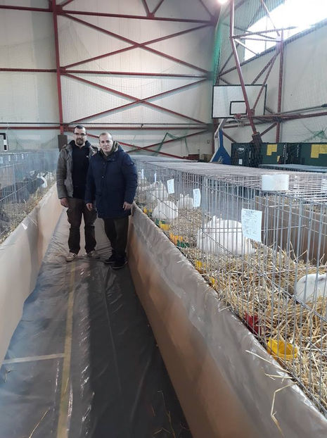  - Expo MEHEDINTI 2019