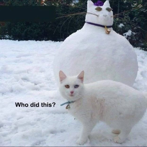 Eurovision 2018 - 2018 Eurovision Song Contest Part 9