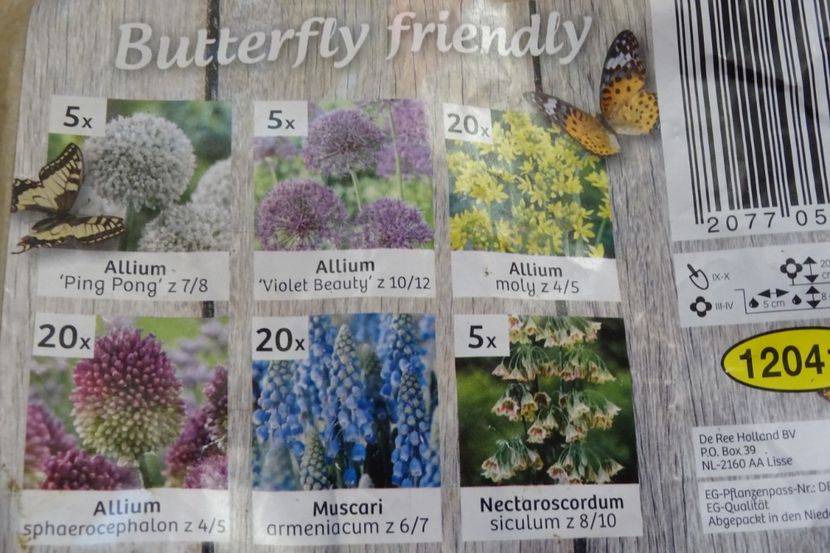 - BULBI DE FLORI-achizitii