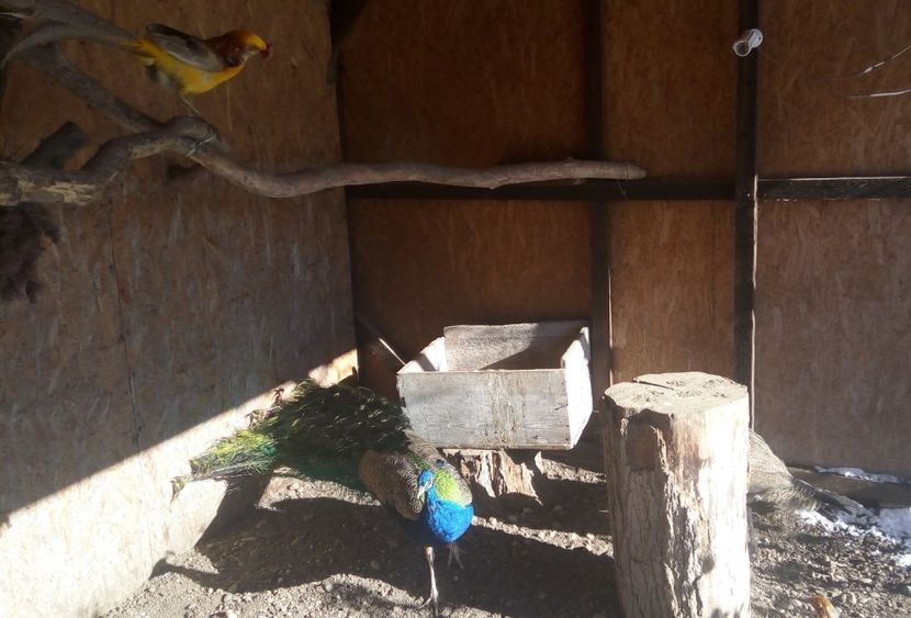 a1 - Contact 0770441774