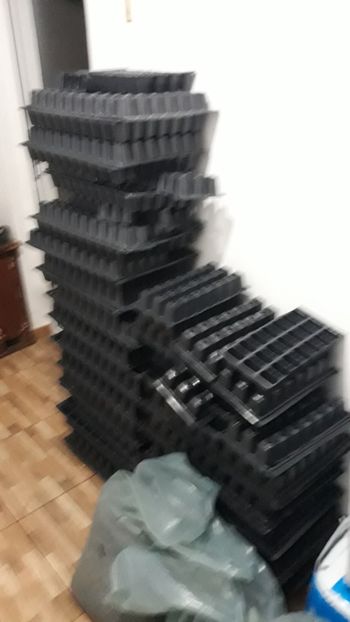  - Sectiunea 1A-Gaini mii de flori -oua si puisori!