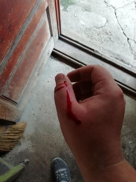 Se lasa cu sange :)) - B-Demolarea Vechilor Volerii si Construirea Celor Noi