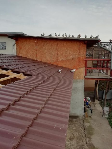  - B-Demolarea Vechilor Volerii si Construirea Celor Noi