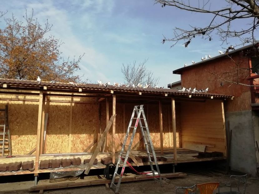  - B-Demolarea Vechilor Volerii si Construirea Celor Noi