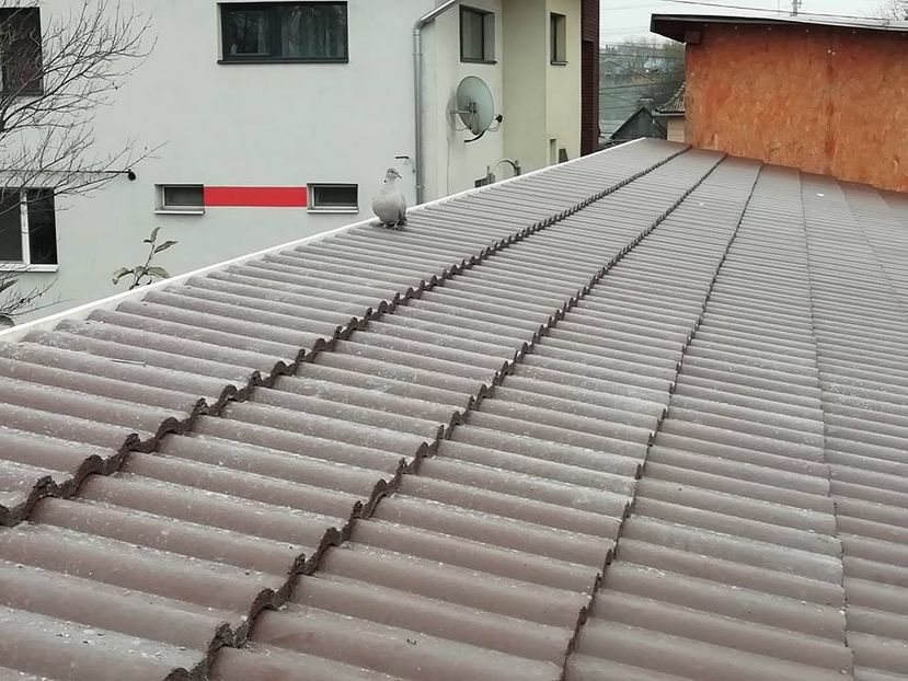  - B-Demolarea Vechilor Volerii si Construirea Celor Noi