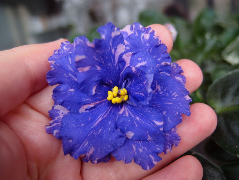 PB144600 - RS Underwater Ball