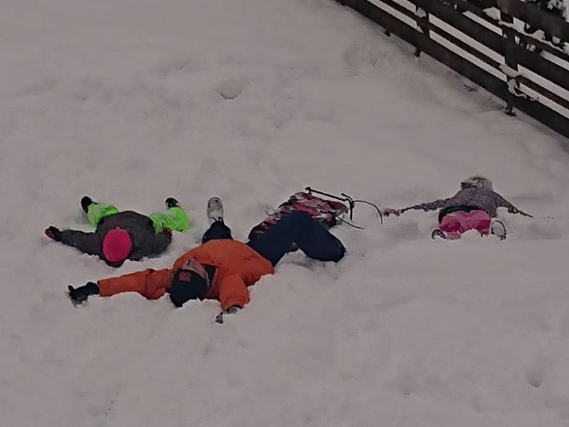  - 2019 BUCURIA ZĂPEZII11-13 IAN