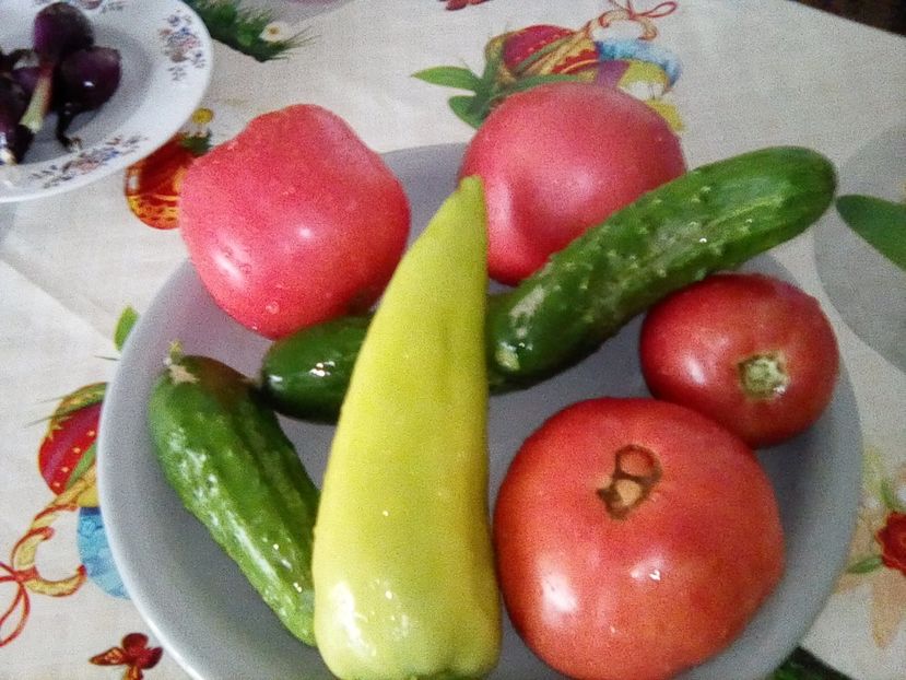  - Gradina cu legume-2017-acasa recolte 2018 - 2023