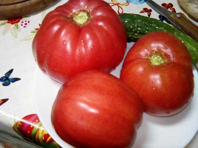  - Gradina cu legume-2017-acasa recolte 2018 - 2023