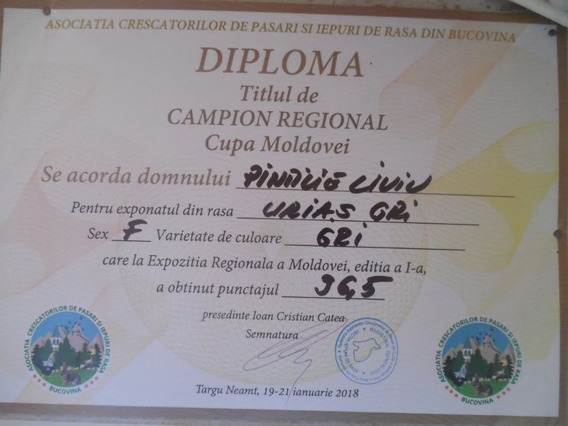  - PREMII OBTINUTE
