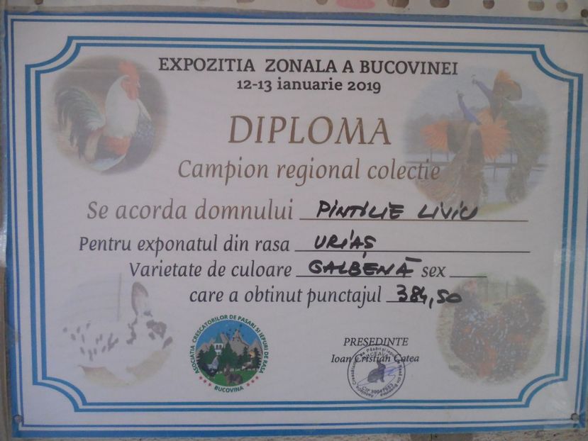  - PREMII OBTINUTE