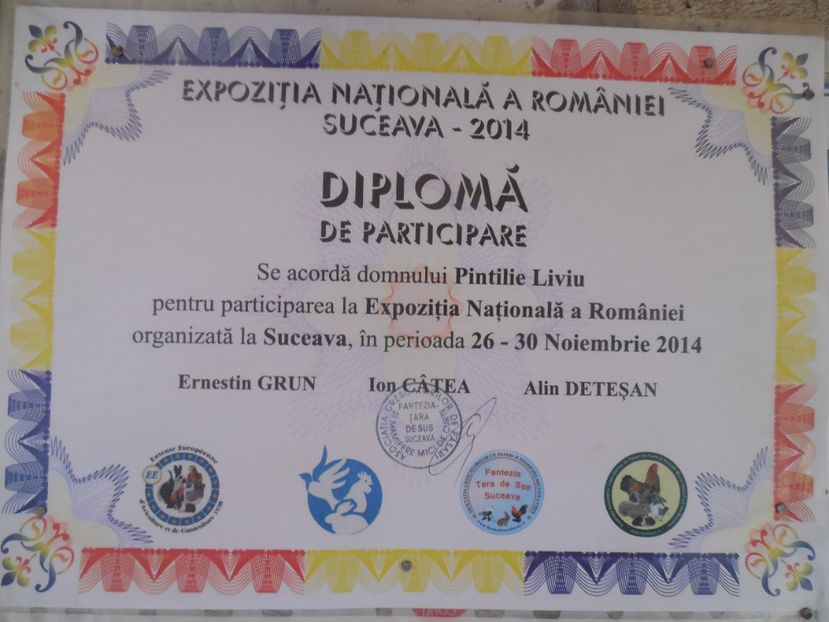  - PREMII OBTINUTE