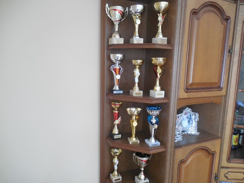  - PREMII OBTINUTE