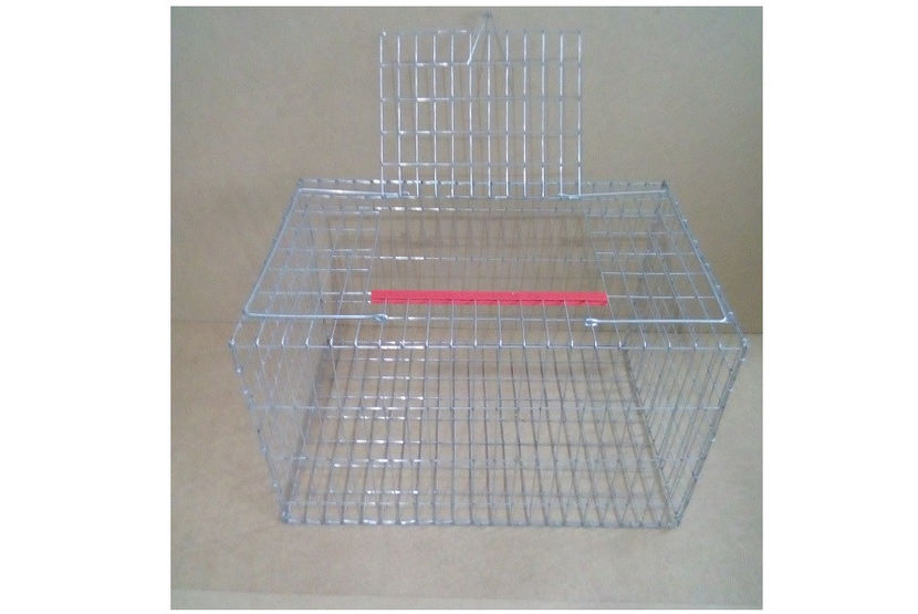 Cusca porumbei 60 cm - 55 lei. - CUSTI TRANSPORT