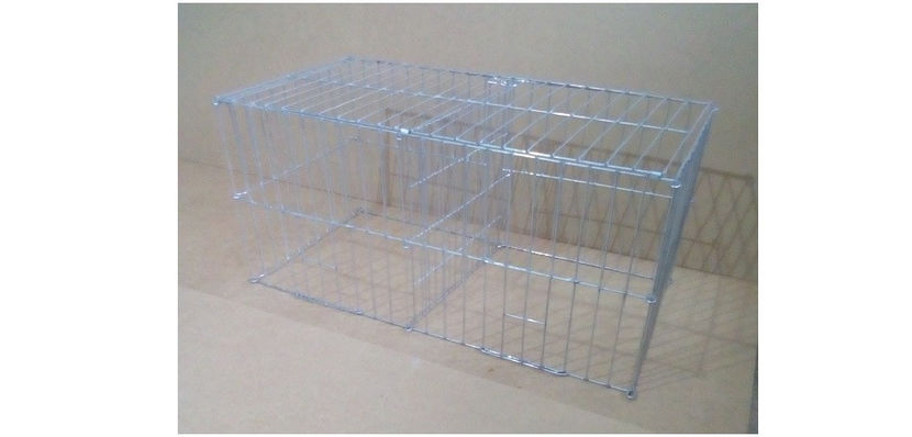 Cusca expozitii pliabila - 60 lei 2 compartimente - CUSTI TRANSPORT