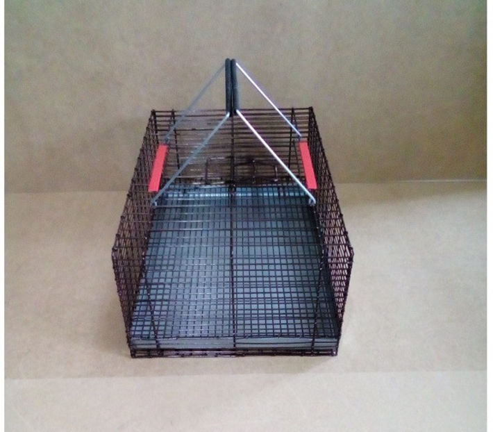 Cusca vopsita maro - 190 lei - CUSTI TRANSPORT