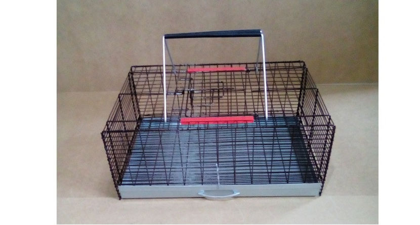 CUSCA TRANSPORT MARO  - CUSTI TRANSPORT