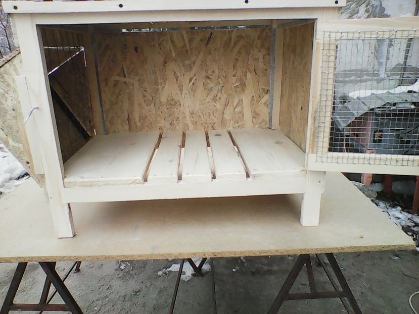 Photo2429 - CUSTI PENTRU IEPURI DE VANZARE