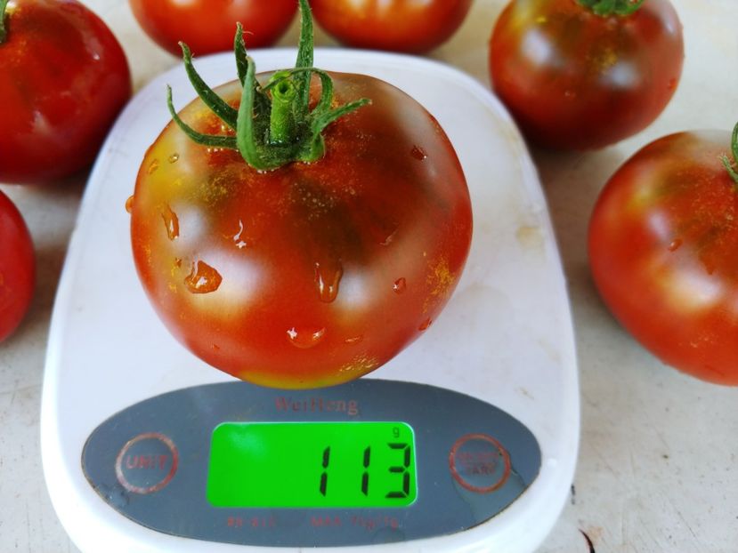 BLACK RUSSIAN THOMPSON 2018 (6) - BLACK RUSSIAN 2018