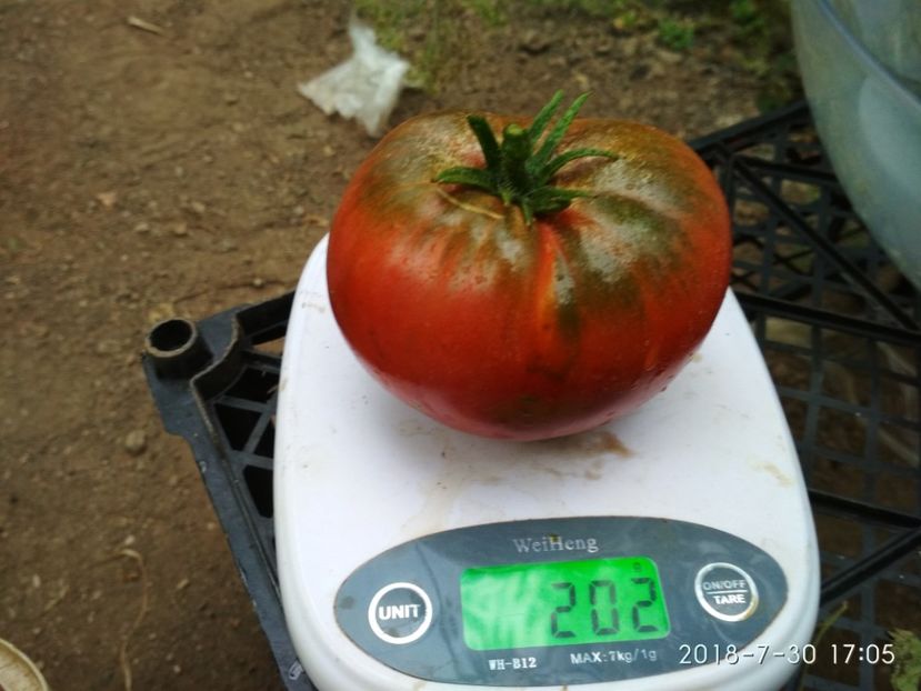 BLACK RUSSIAN THOMPSON 2018 (11) - BLACK RUSSIAN 2018