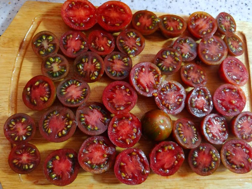 BLACK ZEBRA 2018 (23) - BLACK ZEBRA